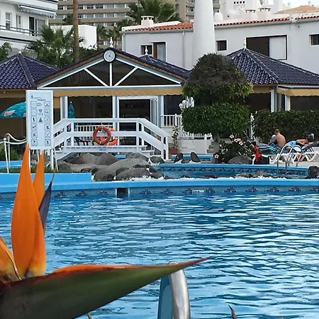 别墅 Atlantis Beach - Tenerife South With Heated Pool 阿德耶